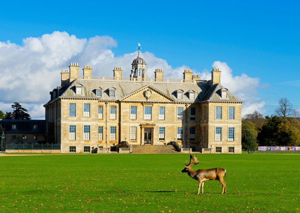 Deer grazing in front of Belton House.