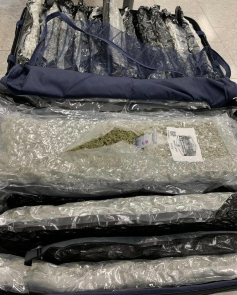 Cannabis seized from a suitcase at an airport.