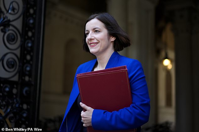 Education Secretary Bridget Phillipson (pictured) has led the charge against private schools