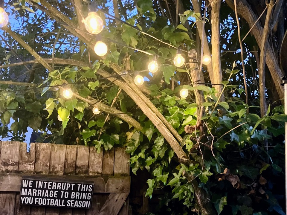String lights strung through a tree branch, with a sign reading "We interrupt this marriage to bring you football season."