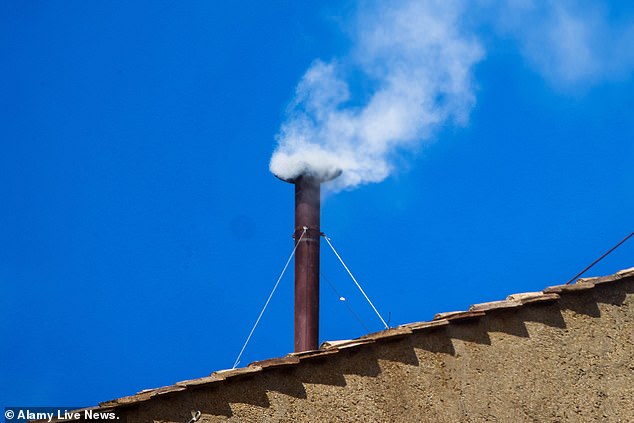 White smoke has finally risen from the chimney of the Sistine Chapel - indicating that cardinals have elected a new pope on the second and final day of conclave