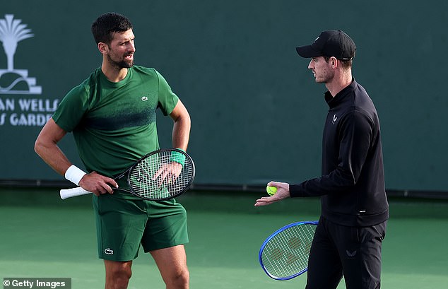 Novak Djokovic and Andy Murray will end their surprise partnership after six months of work