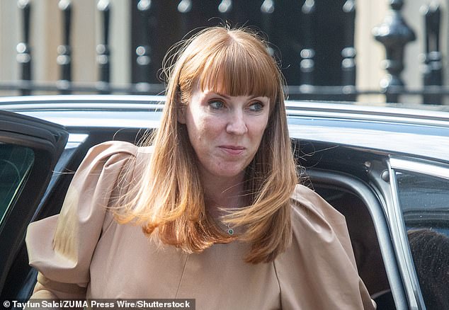 Angela Rayner (pictured) has encouraged Rachel Reeves to strip middle-class families of child benefits payments, it has been claimed