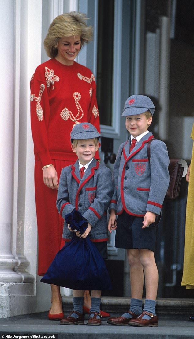 Ironically, the charity is supported by Princes William and Harry, who went to Wetherby private school, in London, and Eton in Windsor. Diana was also educated in the independent sector ¿ at West Heath Girls' School in Kent. Pictured: Diana taking Prince William and Harry to school in 1989