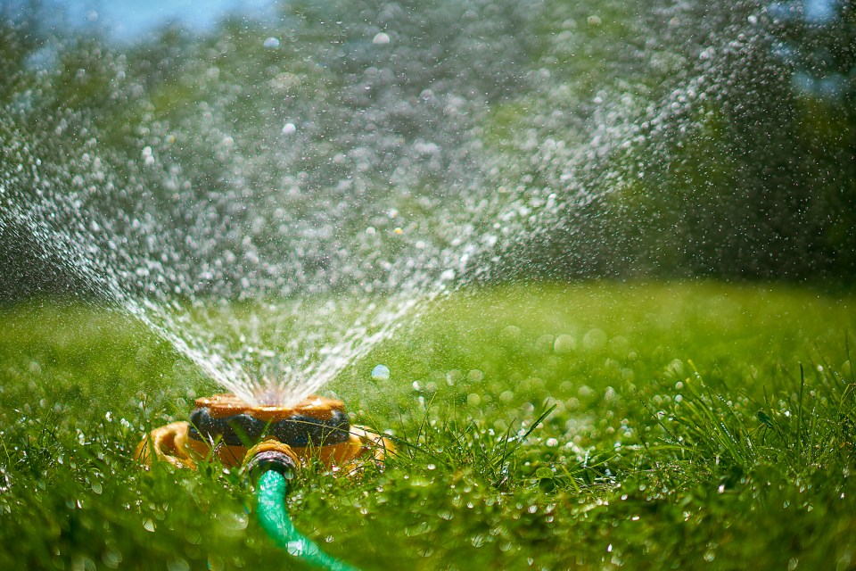 Backyard sprinkler spraying water onto grass.