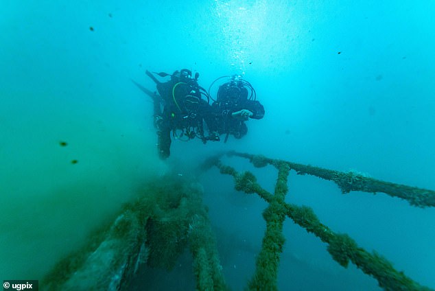 Although the Bayesian's tragic sinking with the loss of seven lives happened just nine months ago, Massimo Sestini's images show how the wreck is already being colonised by seaweed and fish