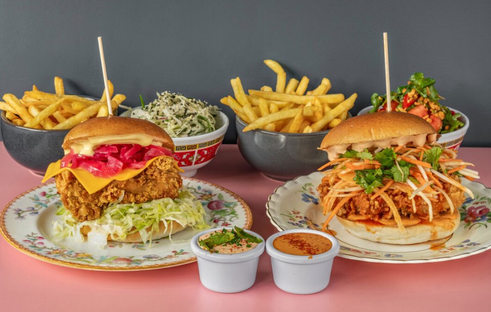 Two chicken burgers with fries and slaw.