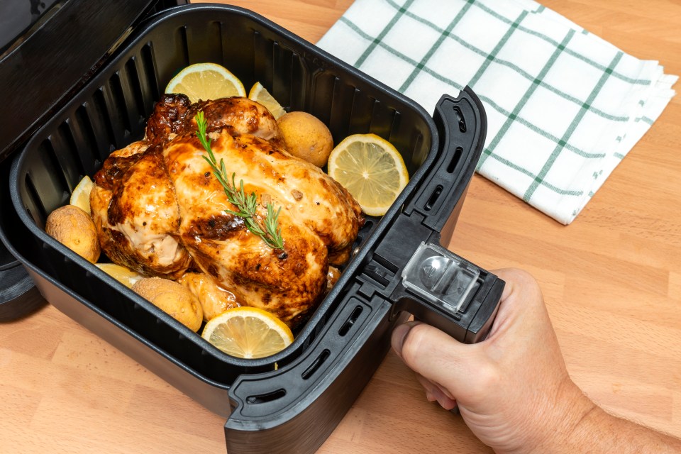 Roasted chicken and potatoes in an air fryer.