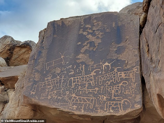 Petroglyphs of cows have also been found near the mountain, some showing figures holding large animals above their heads. The images align with scripture that tells how the Israelites built an altar for a golden calf