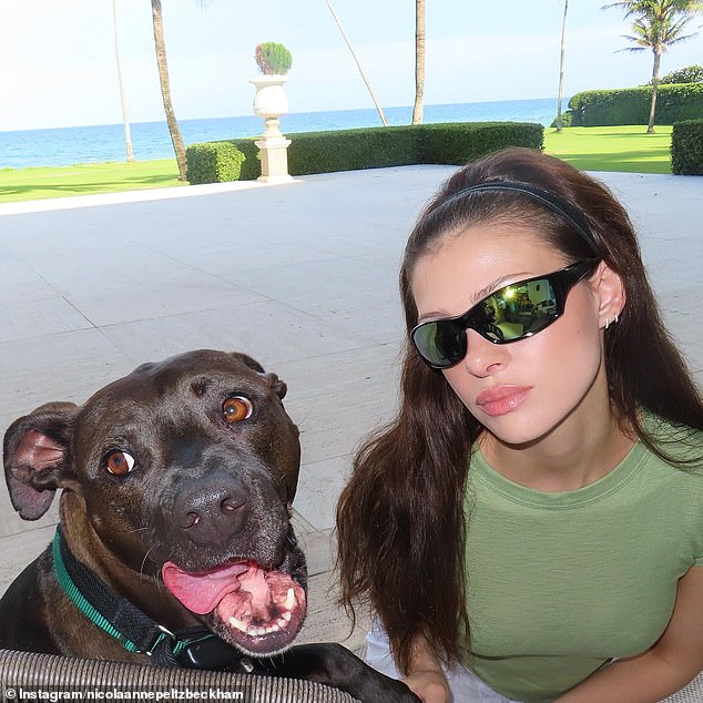 The parents of Nicola Peltz are being sued by their housekeeper for multiple instances where their family dog Houdini (left) attempted to attack her - at one point fending it off with a vacuum