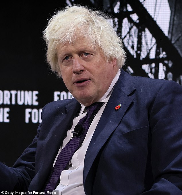 Boris Johnson, pictured, spoke as a sentencing row erupted after a mother locked up for a tweet after the Southport murders failed in a bid to reduce her lengthy jail term