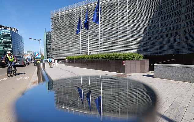 The Tory leader was in Belgium on Friday to speak at the International Democracy Union (File image of the European Commission)