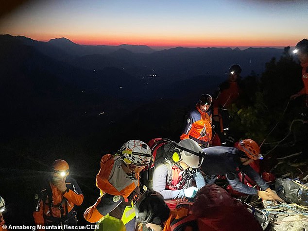 A British man has miraculously survived after plummeting off a picturesque Austrian mountain while trying to take a photo on a notorious rope ladder