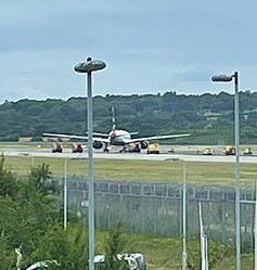 A pilot inadvertently caused a British Airways plane to catch fire after mixing up his left and right hands during take off. The plane is pictured stalled on the runway after the incident