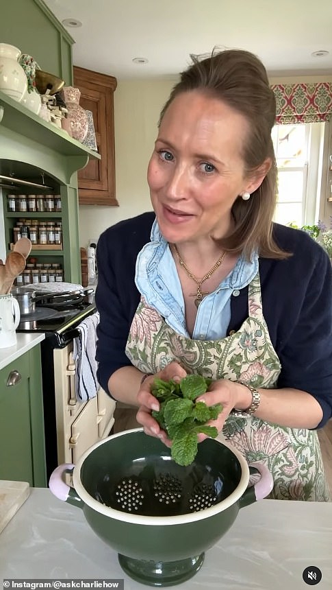 Influencer Charlie Gray, aka @askcharliehow on social media, is one of an increasing number of UK Trad Wives, women who champion traditional feminine roles