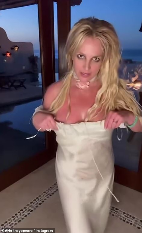 The pop icon, 43, who was freed from her conservatorship in 2021, was flying from Cabo San Lucas, Mexico to LAX at the time - pictured last week on holiday