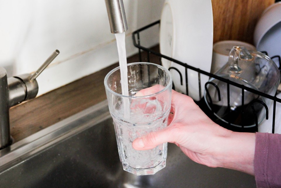 A hand filling a glass with tap water.