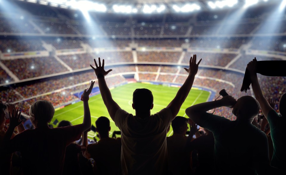 Silhouette of cheering fans in a stadium.