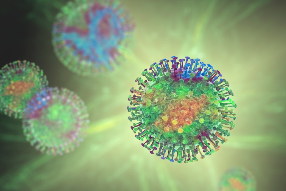 Group of viruses, computer illustration.