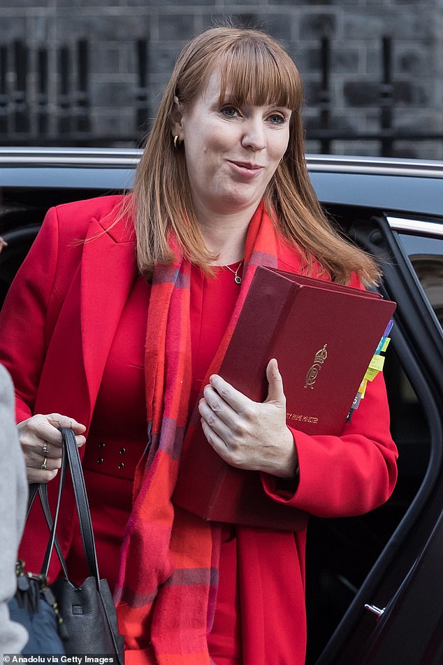 One minister claimed Angela Rayner, pictured, 'wants the job' of Labour leader and is 'beginning the process of lining herself up for the succession'