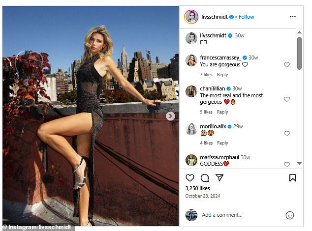 Schmidt currently advertising a $2,900 online course for those wanting 'access to the Skinni Société Secrets,' describing it as 'a private, NDA-bound vault for women who are done spiraling, done guessing, and done sharing their goals with people who don't have any.'