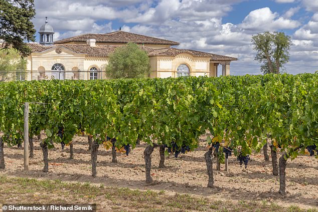 The Petrus red wine is a favourite among the stars, with the vineyard owned by the Mouiex family, in eastern Pomerol in the Bordeaux region of France