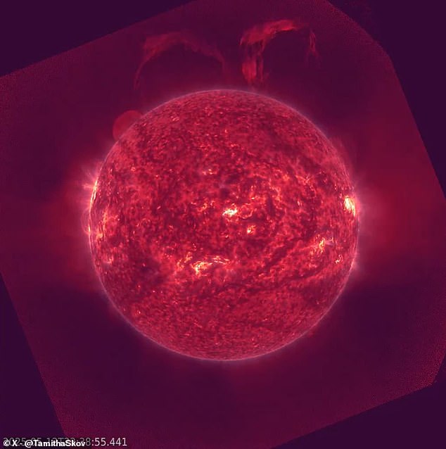 Astronomers have detected a 'bird wing' solar eruption emerging from the sun on Tuesday, and say it is heading for Earth