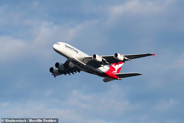 Experts are now working to change policies from the 1950s which would mean flights go ahead unabated following an atomic blast (file image)