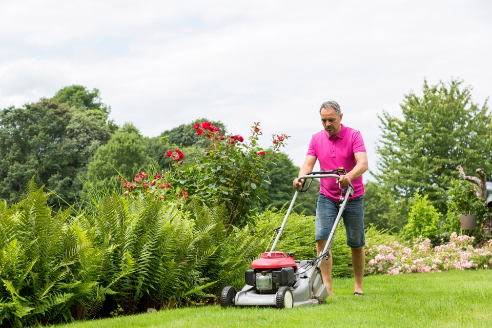 Man mowing lawn.
