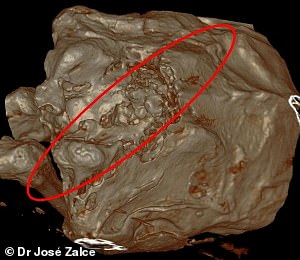 CT scans of one specimen, known as Maria¿who measures five feet six inches¿revealed bite marks, fractures, blood clots in tissue, and signs of internal trauma