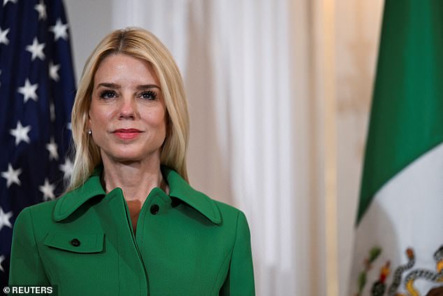 Pam Bondi began 'Phase One' of releasing the long-awaited, mysterious files related to pedophile financier Jeffrey Epstein in February