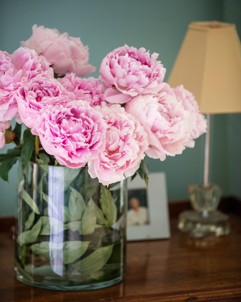 Pink peonies in a glass vase.