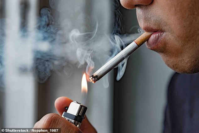 France will ban smoking in all outdoor places that can be frequented by children
