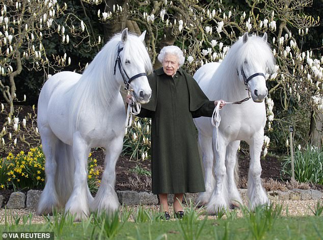 For her historic Platinum Jubilee, Queen Elizabeth II received personalised pony blankets from the President of Switzerland. Pictured: The late Queen with her Fell ponies