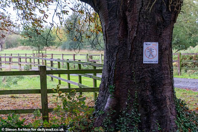 A sign on a tree near Louth in Lincolnshire protesting against the controversial pylon plans