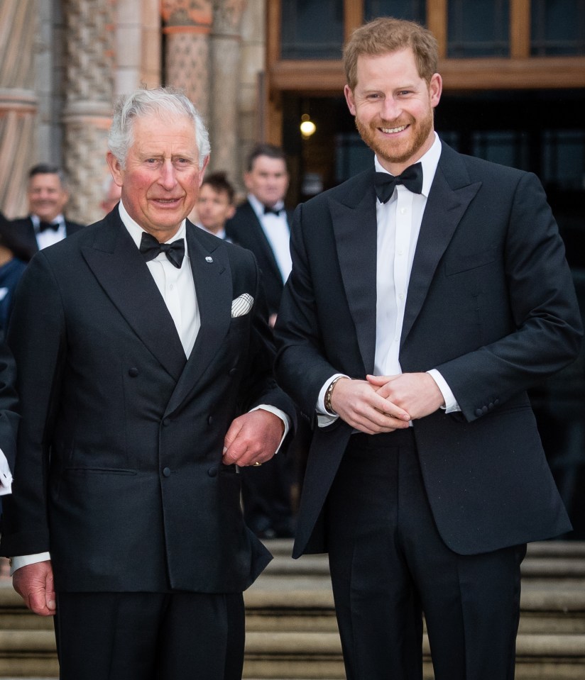 Prince Charles and Prince Harry at the Our Planet premiere.