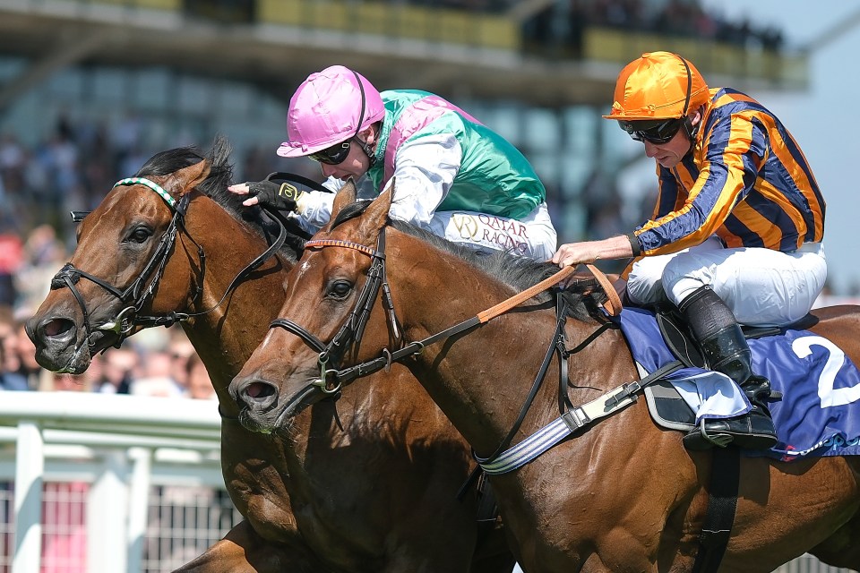 Two jockeys race their horses neck and neck.