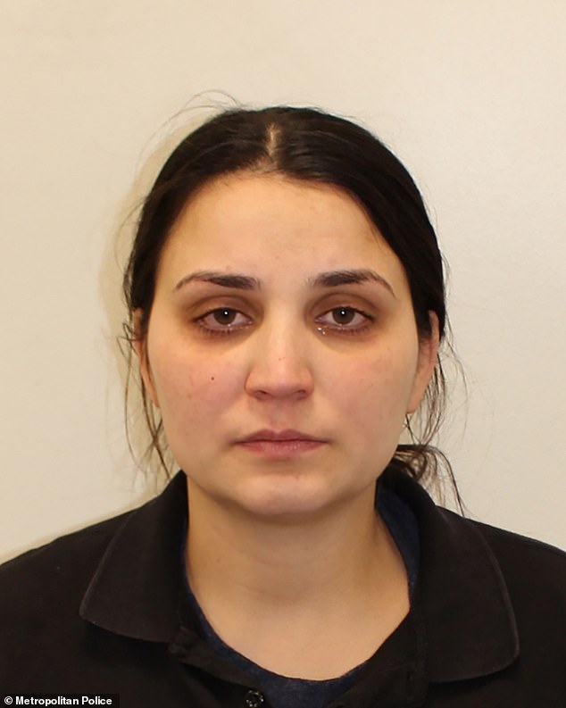 Luminita Zamfir, 24, faces jail for breaking into the second largest private residence in London