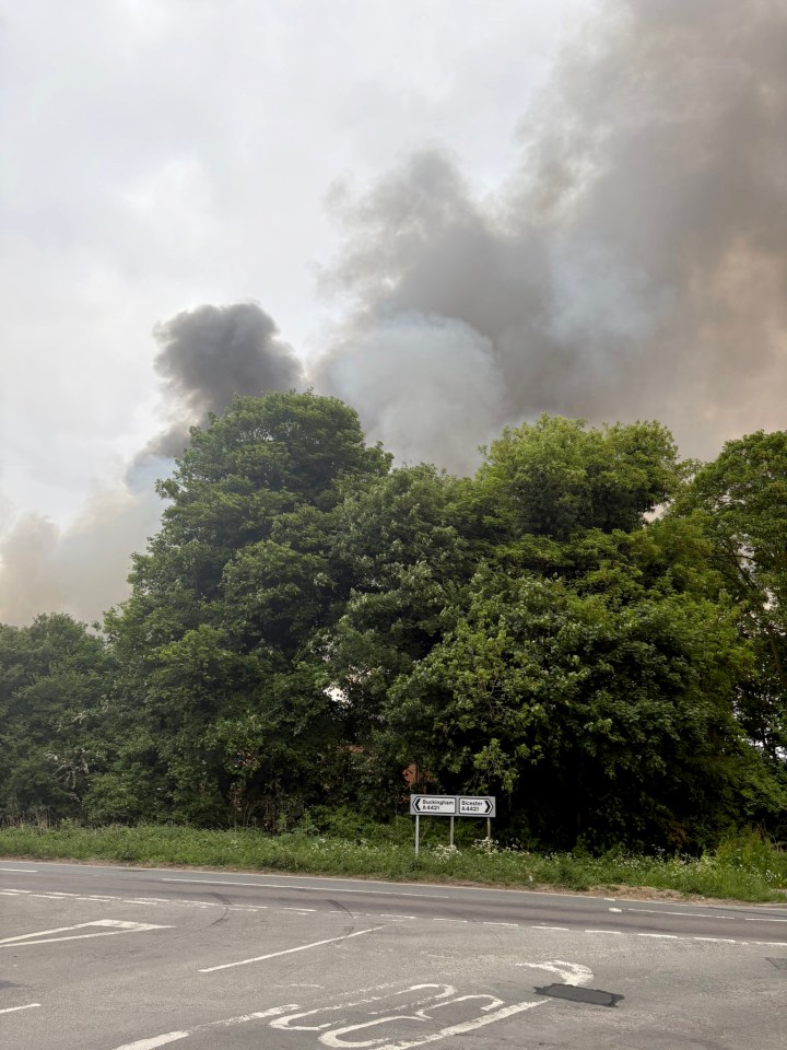 Smoke from a fire near trees and a road.