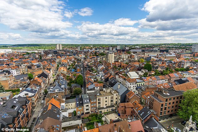 Now the university graduate has left the Golden State's astronomical rents and education costs for an idyllic European lifestyle in Leuven, Belgium (Pictured: View of the city of Leuven)