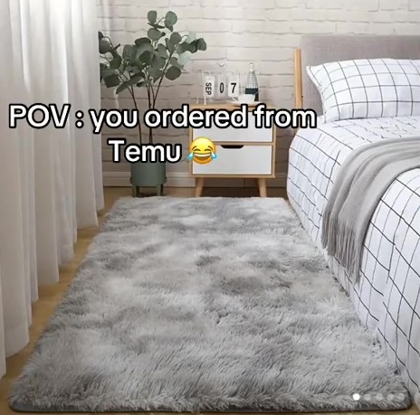 Temu plush rug order; product image shows a grey rug in a bedroom.