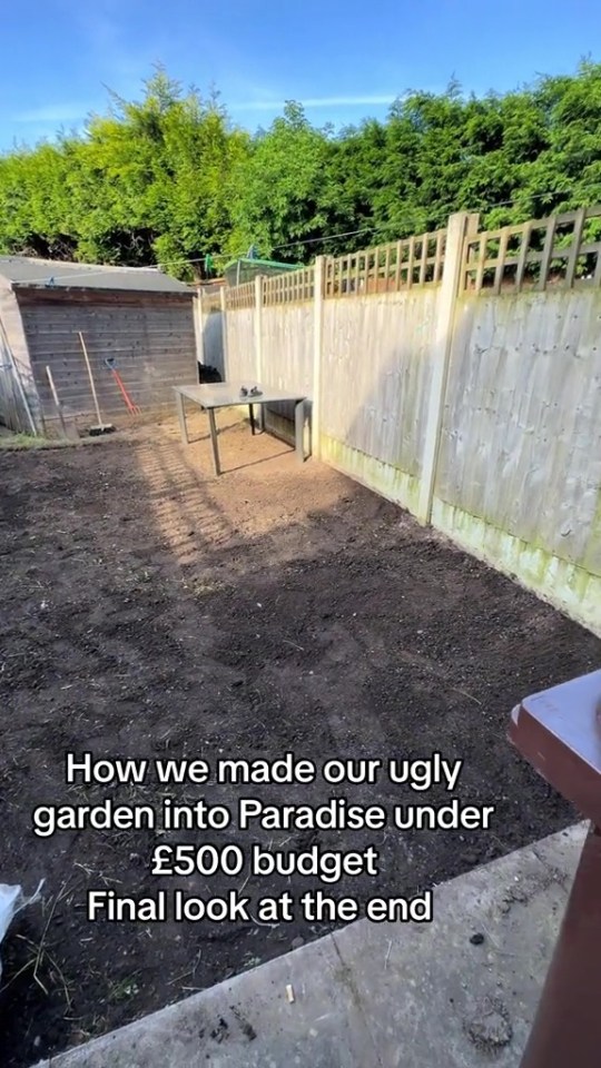 Empty garden plot before transformation.
