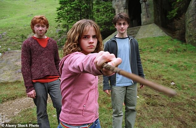 The new child stars will take on the lead characters Harry, Hermione Granger and Ron Weasley in the TV reboot; pictured 2004