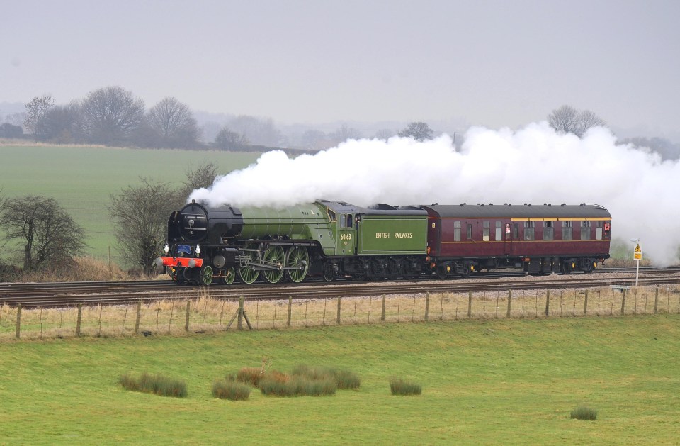 A green steam locomotive pulling passenger cars on a railway track.