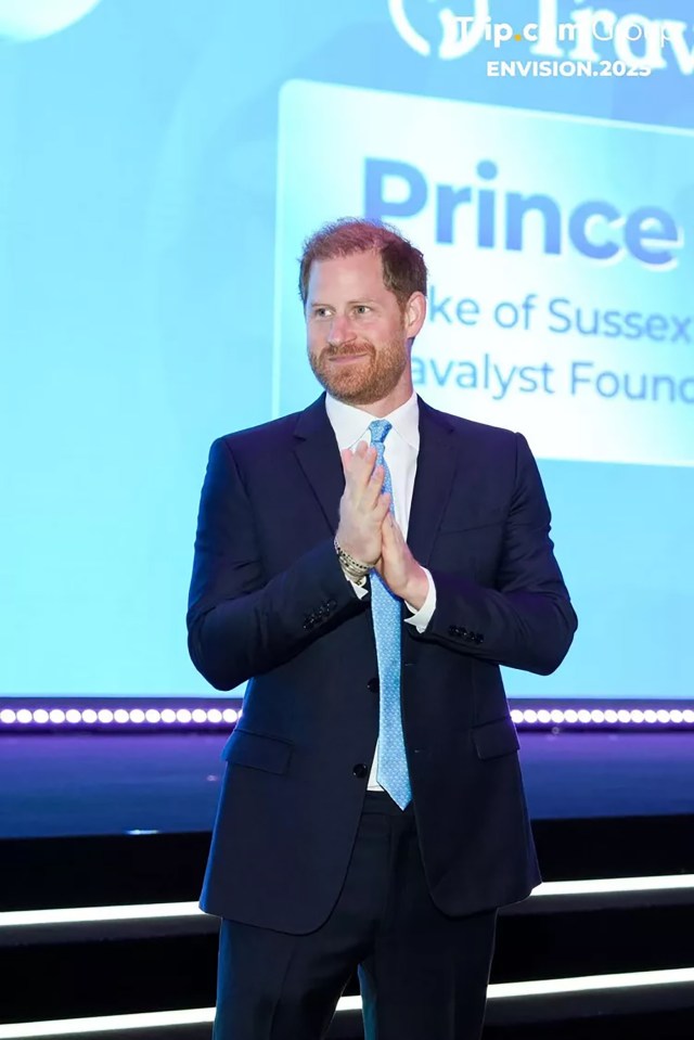 Prince Harry at a Travalyst summit.