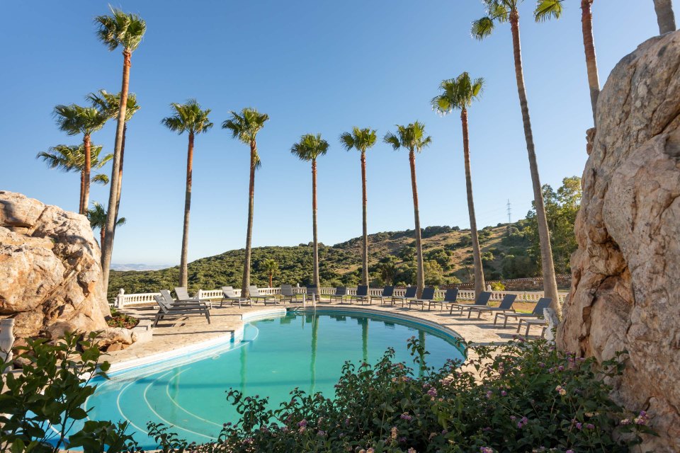Swimming pool surrounded by palm trees and lounge chairs.