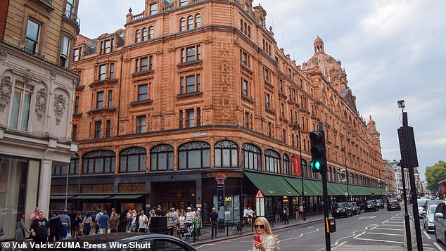 Harrods has become the latest in a string of prominent retailers to be targeted by cyber hackers (Stock image)