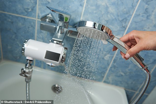 Maxine, who lives in Leeds, revealed one of the biggest differences she spotted was seeing a 'power shower' for the first time (stock image)