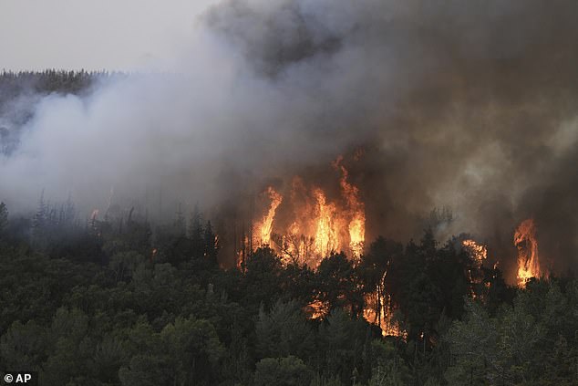 Israel's Magen David Adom (MDA) rescue agency reported that hundreds of civilians were at risk from the wildfires, and that it had already treated 23 people