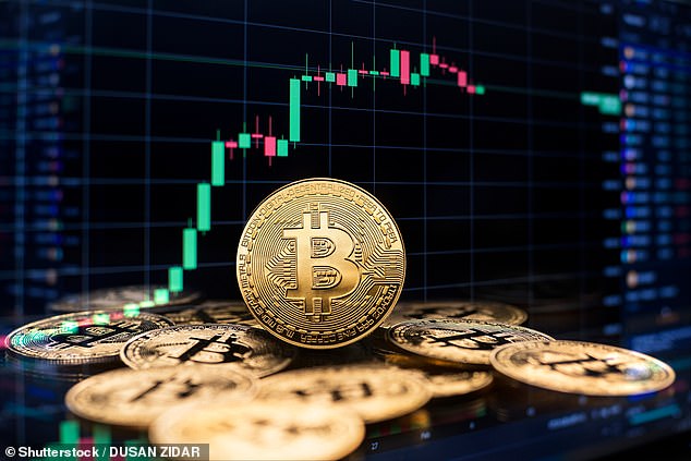 Treasury asset: The Smarter Web Company now owns almost 60 bitcoin worth £4.8million